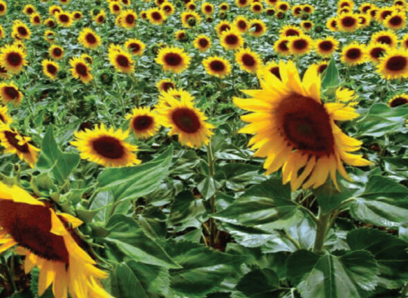 Screenshot 2025-09-20 at 1.34.20 PM